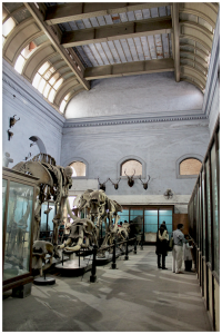 Indian Museum