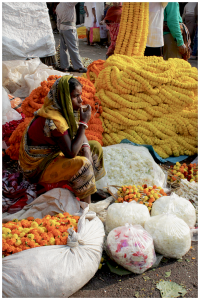 Mallick Ghat flower market