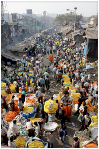 Mallick Ghat flower market