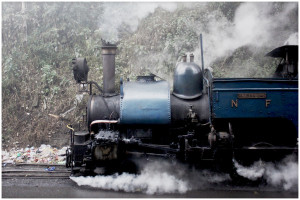 Darjeeling Toy Train