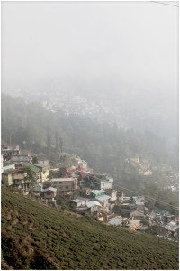 View of Darjeeling and the Happy Valley tea gardens