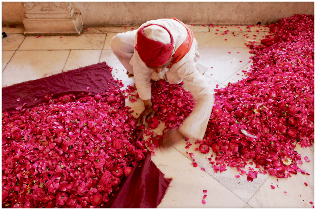 Collecting flower petals