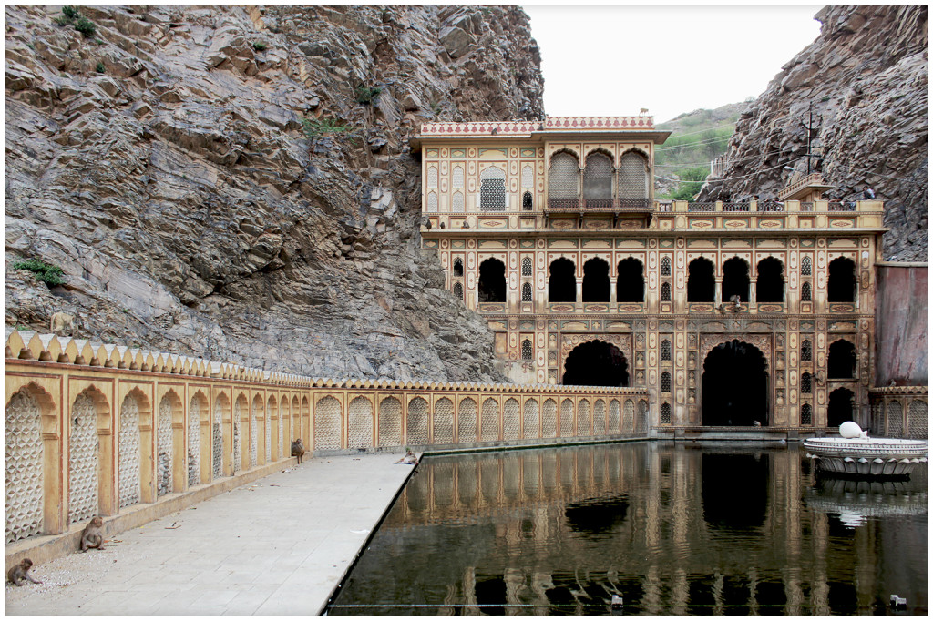 Monkey temple in Jaipur