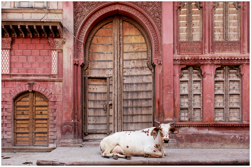 Haveli in Mandawa