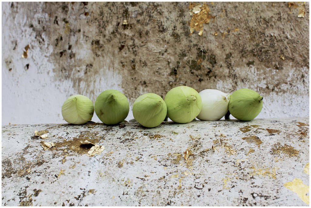 Offerings to Buddha